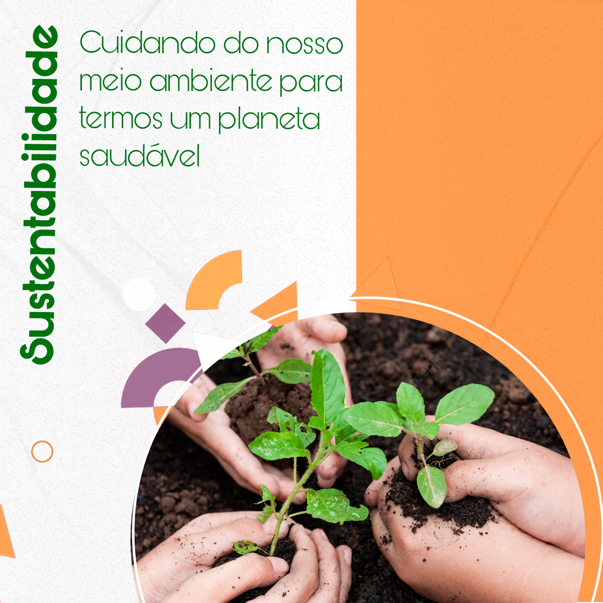 Imagem pilar sustentabilidade